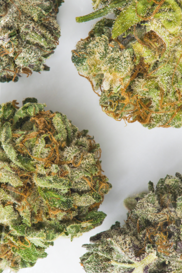 Flower Near To Me Dispensary